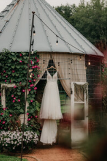 Stacy Bengs photography - photo of wedding dress hanging in garden